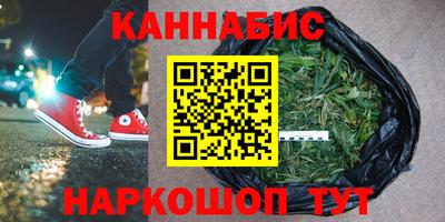сатива Аргун