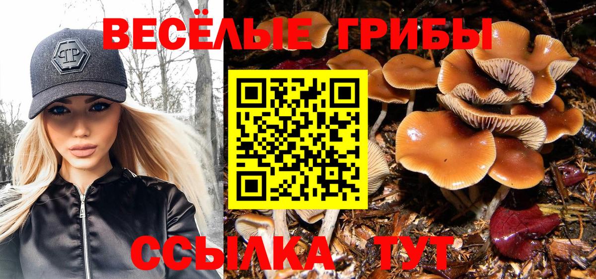 Галлюциногенные грибы Magic Shrooms Березники