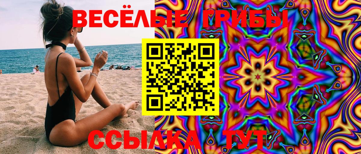 Березники  Галлюциногенные грибы Magic Shrooms  Вход с VPN 